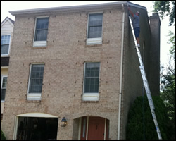 Bat exclusion in Ashburn VA