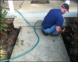 Dead animal removal Ashburn VA